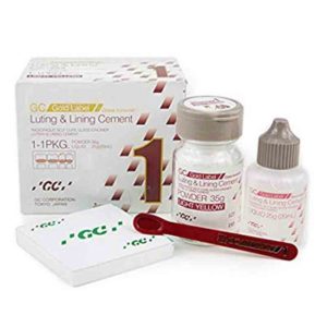 GC Fuji 1 Large Luting Lining Glass Ionomer Cement India Online